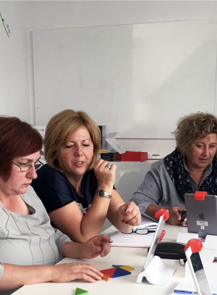 profesionalni razvoj